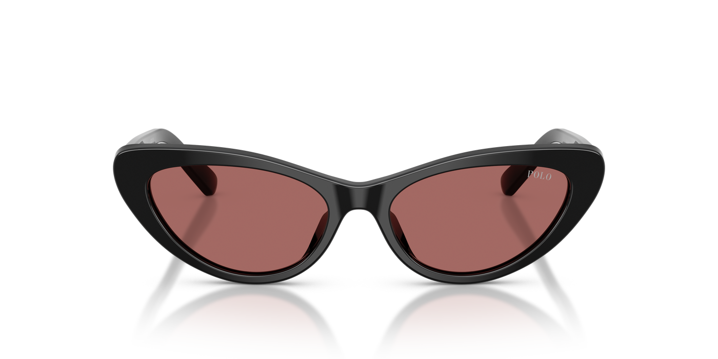 Gafas de Sol Polo Ralph Lauren PH4199U 500169 54 16