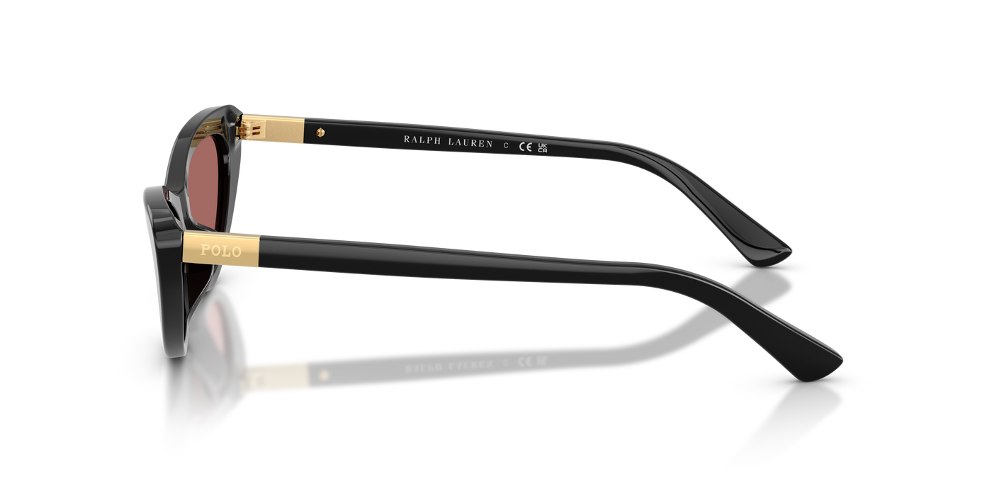 Gafas de Sol Polo Ralph Lauren PH4199U 500169 54 16