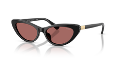 Gafas de Sol Polo Ralph Lauren PH4199U 500169 54 16