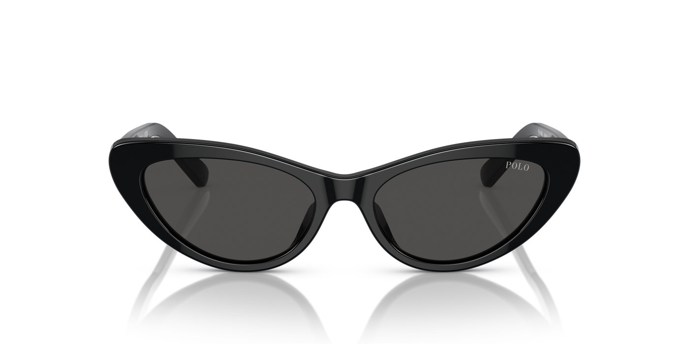 Gafas de Sol Polo Ralph Lauren PH4199U 500187 54 16