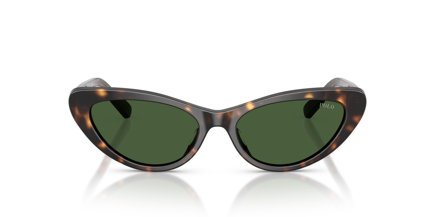 Gafas de Sol Polo Ralph Lauren PH4199U 500371 54 16