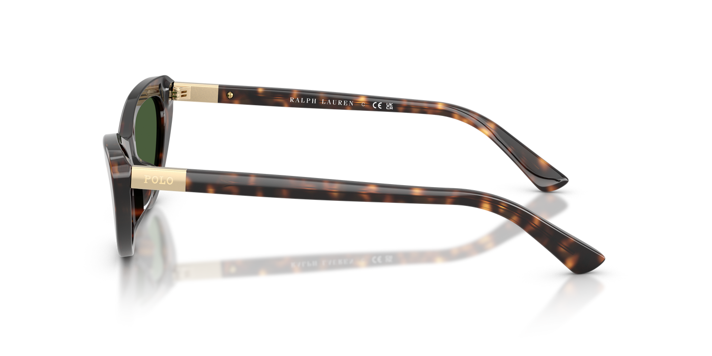 Gafas de Sol Polo Ralph Lauren PH4199U 500371 54 16