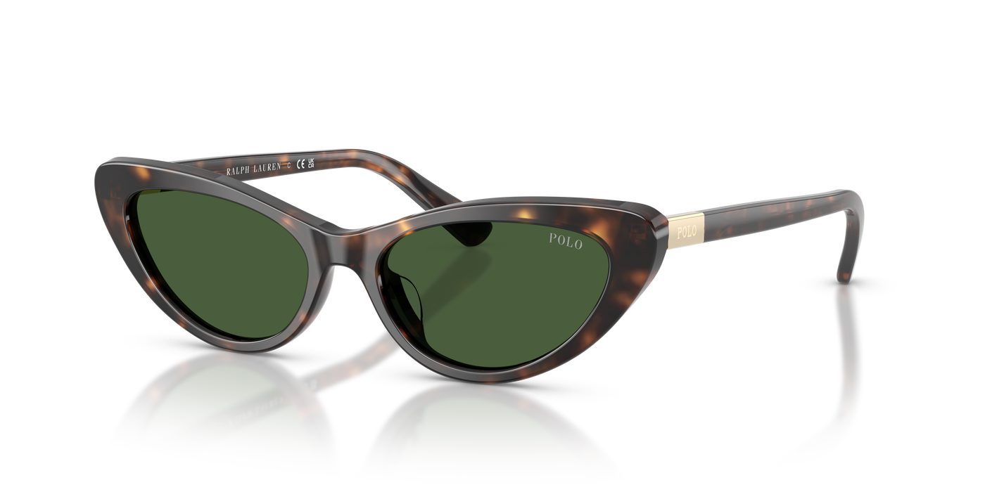 Gafas de Sol Polo Ralph Lauren PH4199U 500371 54 16