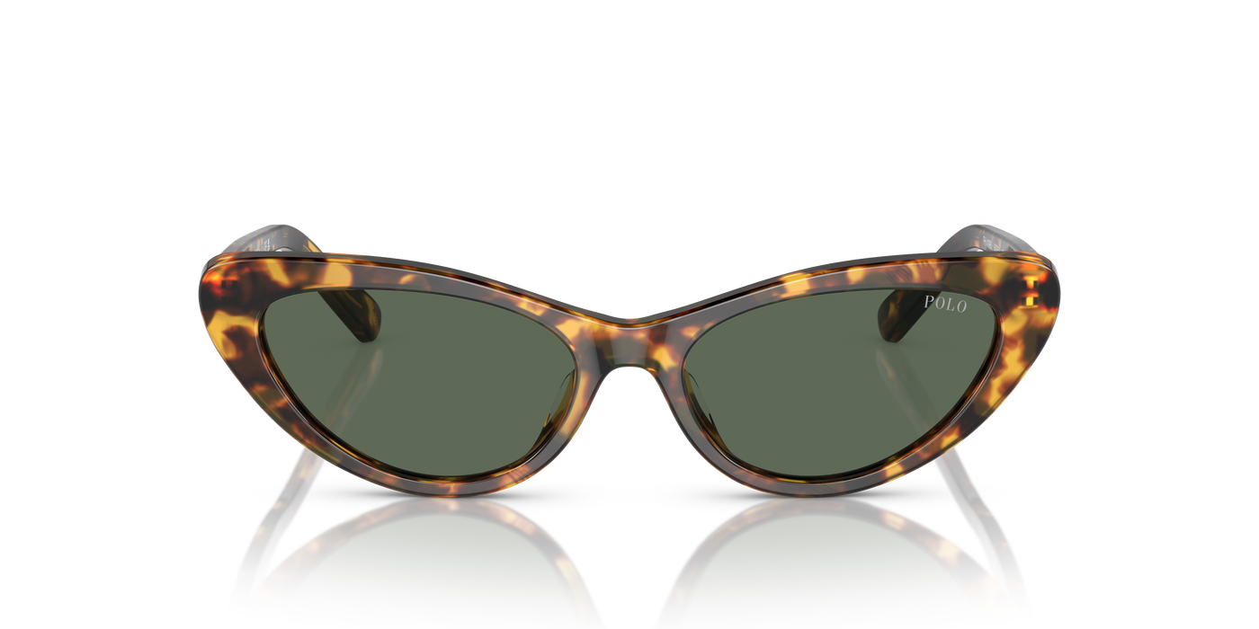 Gafas de Sol Polo Ralph Lauren PH4199U 607871 54 16
