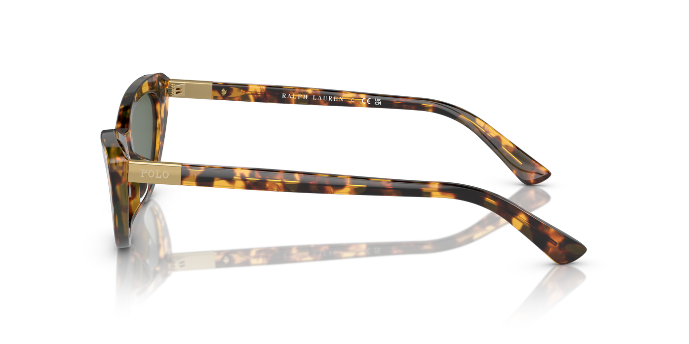 Gafas de Sol Polo Ralph Lauren PH4199U 607871 54 16