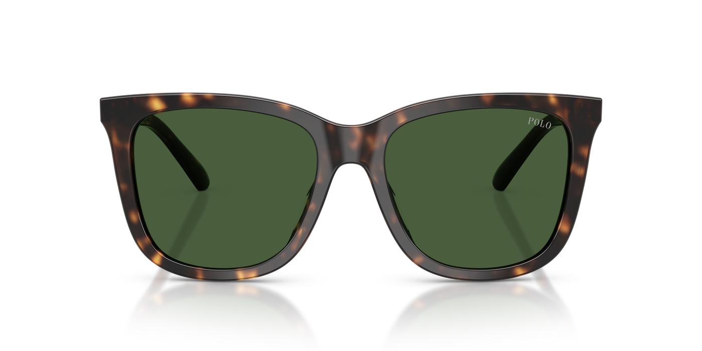 Gafas de Sol Polo Ralph Lauren PH4201U 500371 55 18