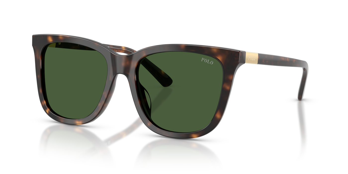 Gafas de Sol Polo Ralph Lauren PH4201U 500371 55 18