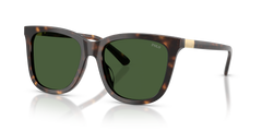 Gafas de Sol Polo Ralph Lauren PH4201U 500371 55 18