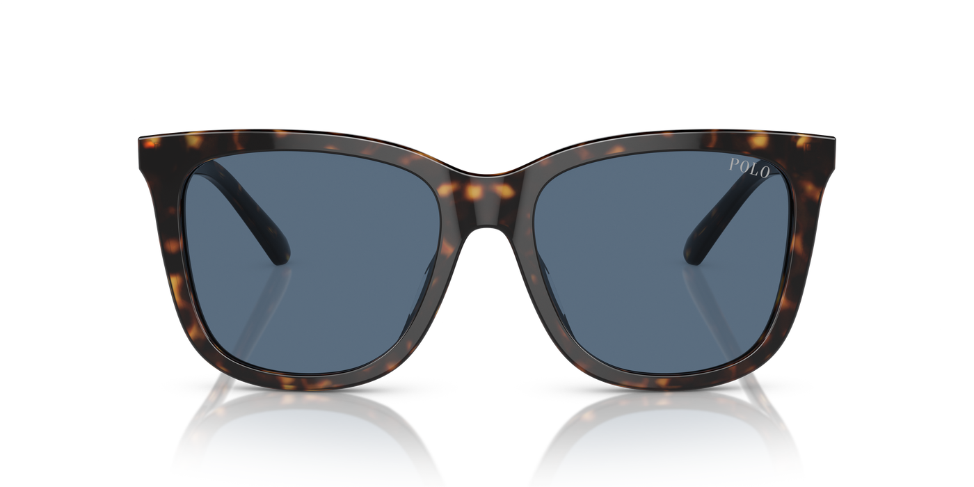 Gafas de Sol Polo Ralph Lauren PH4201U 500380 55 18