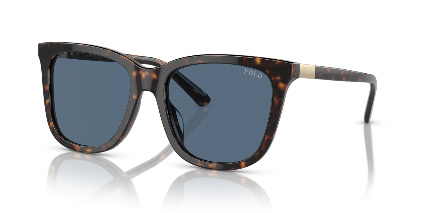 Gafas de Sol Polo Ralph Lauren PH4201U 500380 55 18