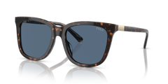 Gafas de Sol Polo Ralph Lauren PH4201U 500380 55 18