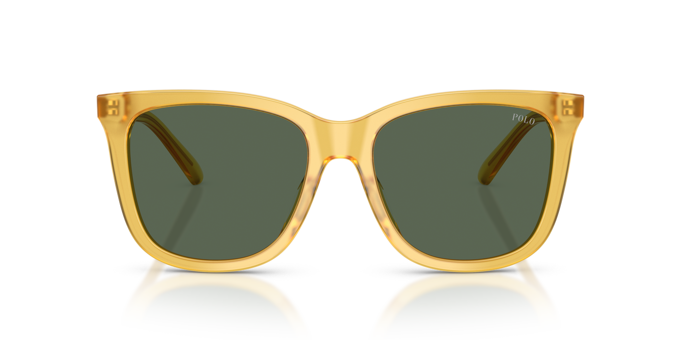 Gafas de Sol Polo Ralph Lauren PH4201U 500571 55 18