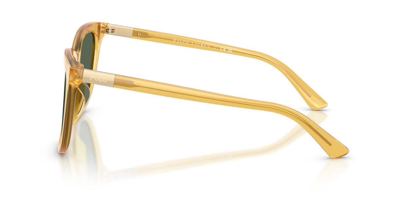 Gafas de Sol Polo Ralph Lauren PH4201U 500571 55 18