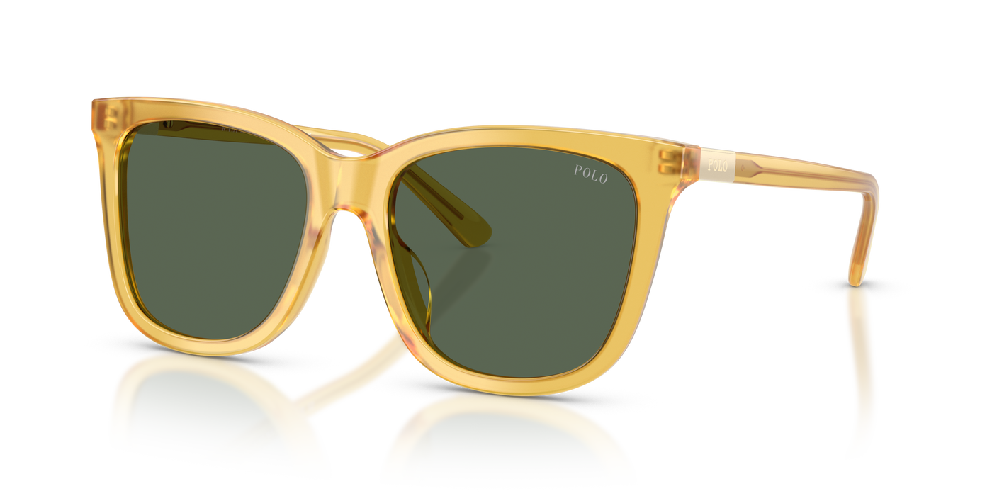 Gafas de Sol Polo Ralph Lauren PH4201U 500571 55 18