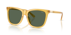 Gafas de Sol Polo Ralph Lauren PH4201U 500571 55 18