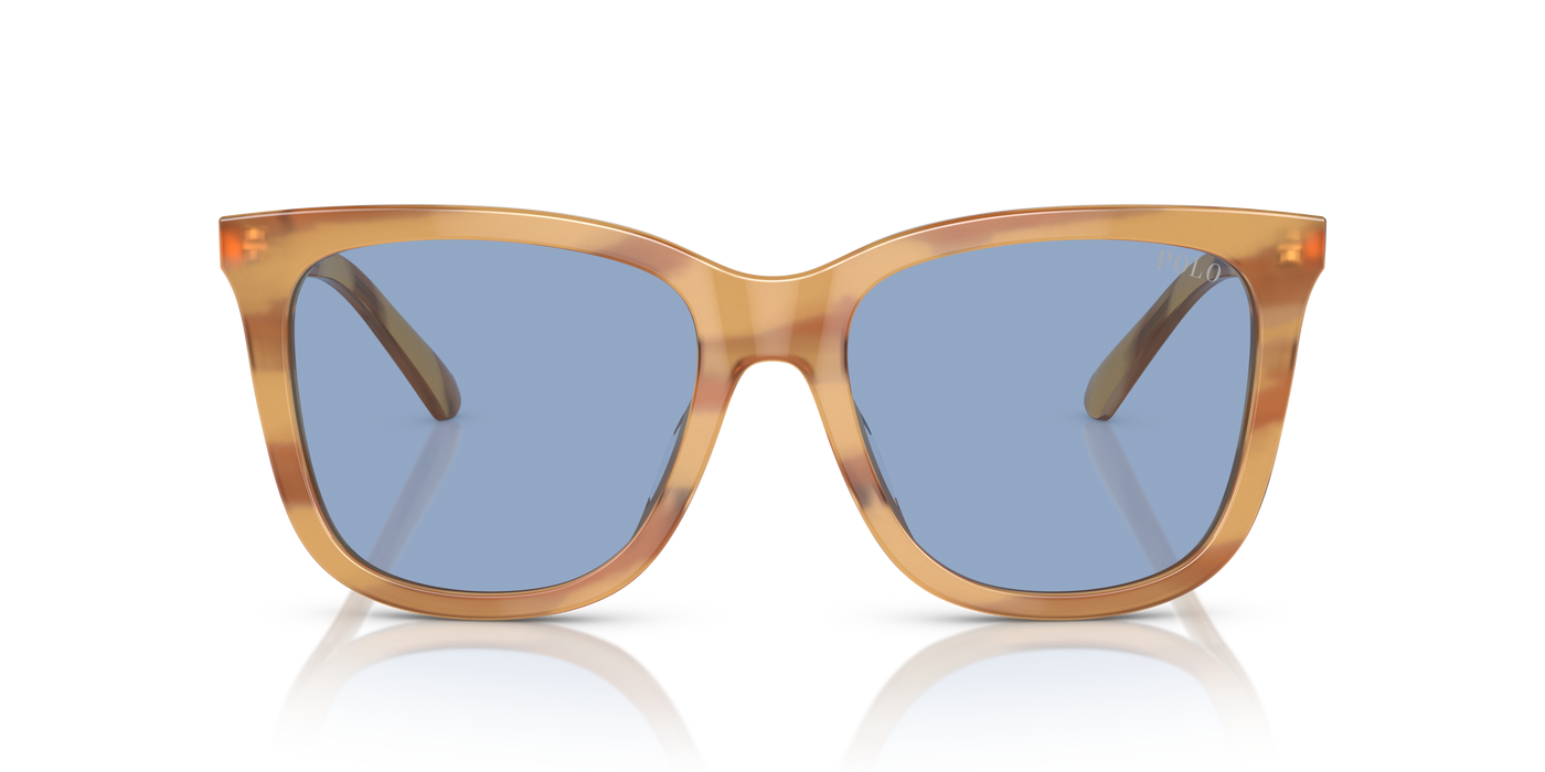 Gafas de Sol Polo Ralph Lauren PH4201U 607972 55 18