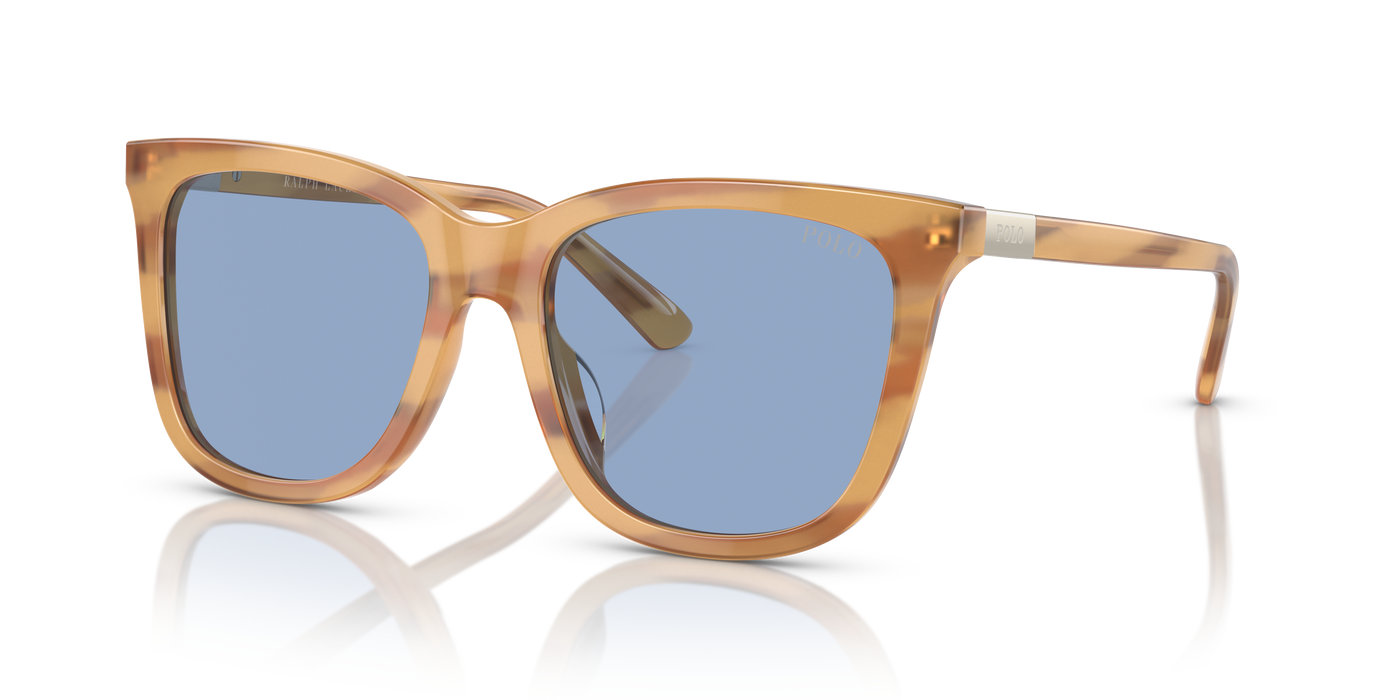 Gafas de Sol Polo Ralph Lauren PH4201U 607972 55 18