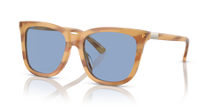 Gafas de Sol Polo Ralph Lauren PH4201U 607972 55 18