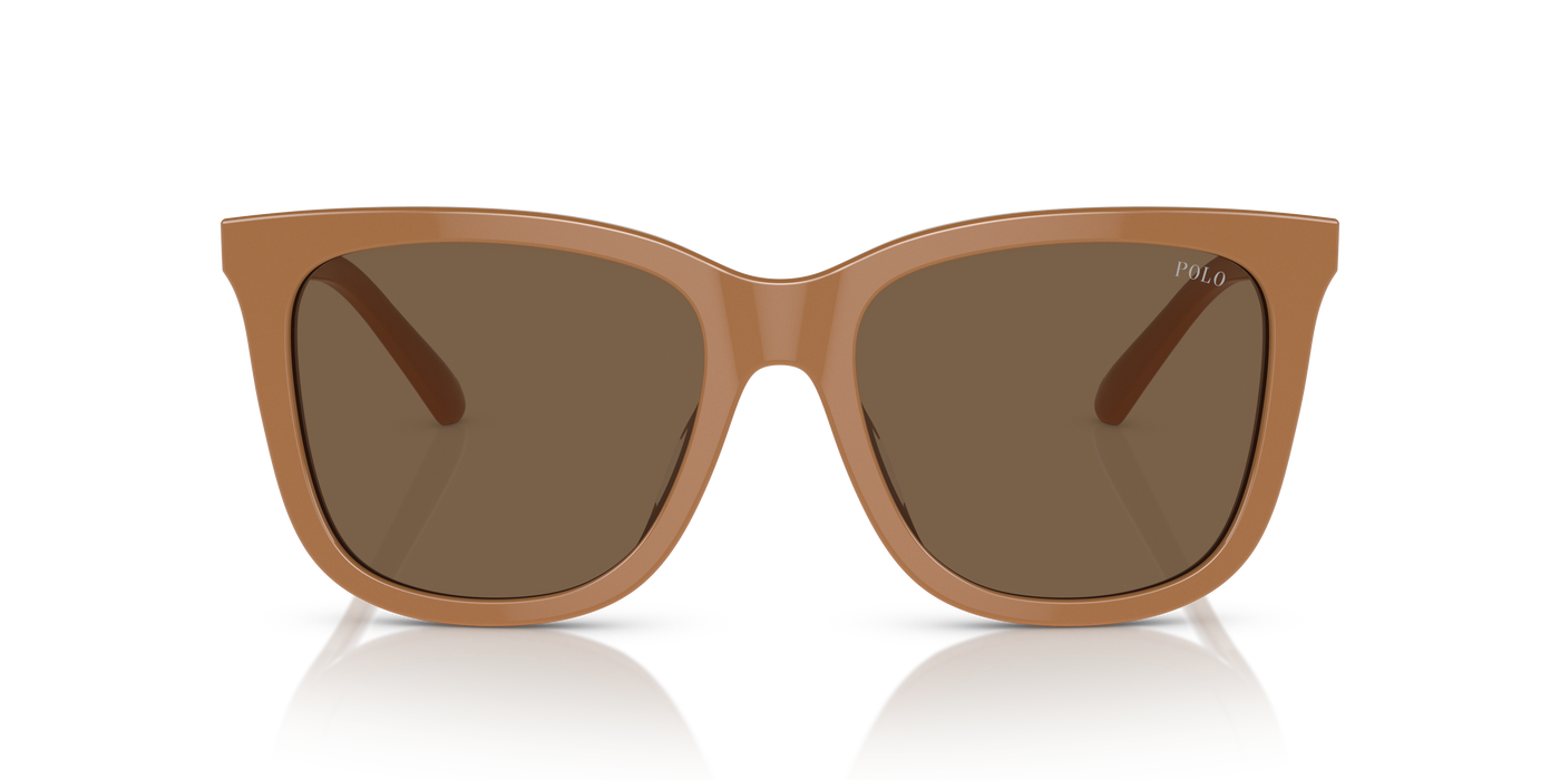 Gafas de Sol Polo Ralph Lauren PH4201U 619673 55 18