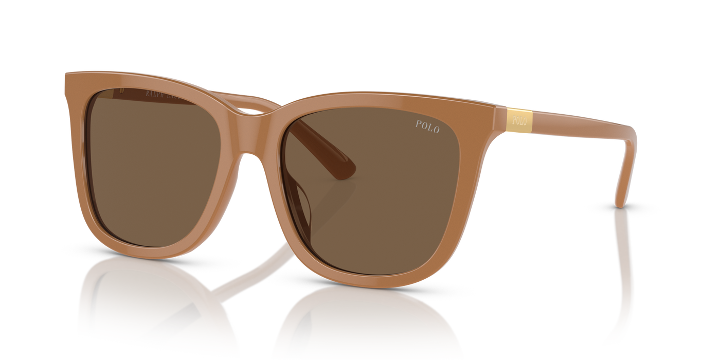 Gafas de Sol Polo Ralph Lauren PH4201U 619673 55 18