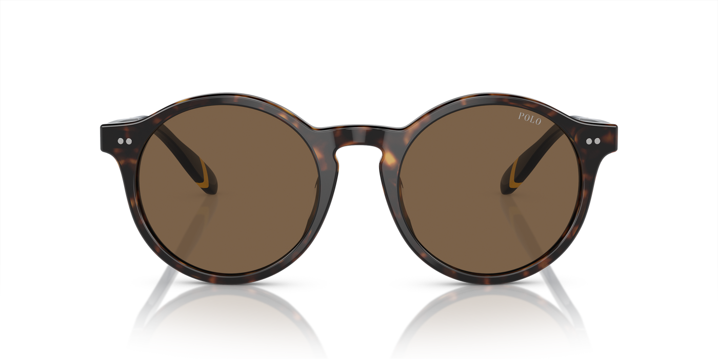 Gafas de Sol Polo Ralph Lauren PH4204U 500373 53 21