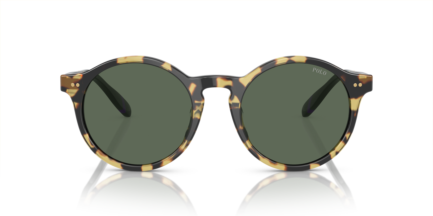 Gafas de Sol Polo Ralph Lauren PH4204U 500471 53 21