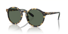 Gafas de Sol Polo Ralph Lauren PH4204U 500471 53 21