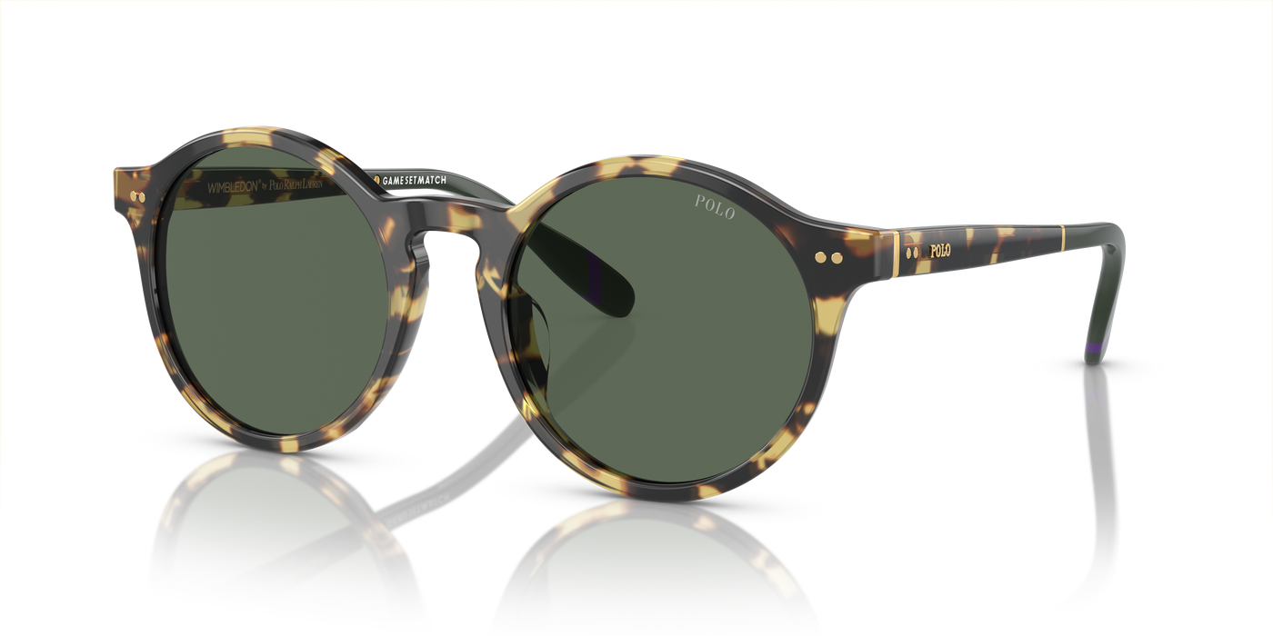 Gafas de Sol Polo Ralph Lauren PH4204U 500471 50 21