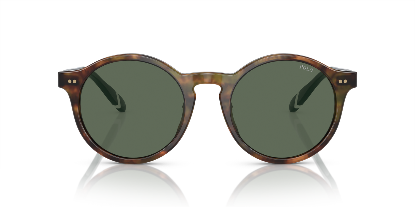 Gafas de Sol Polo Ralph Lauren PH4204U 501771 53 21