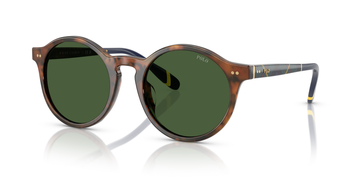 Gafas de Sol Polo Ralph Lauren PH4204U 562571 50 21