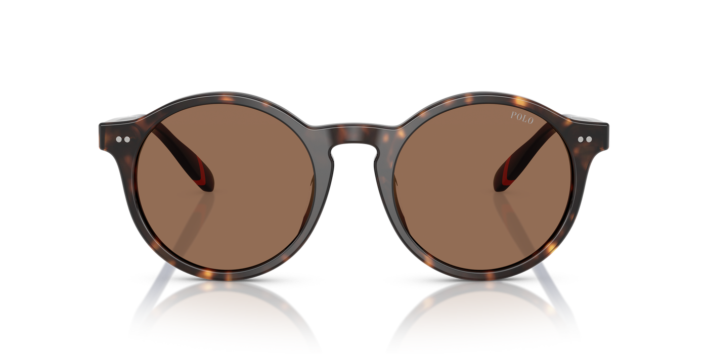 Gafas de Sol Polo Ralph Lauren PH4204U 567373 50 21