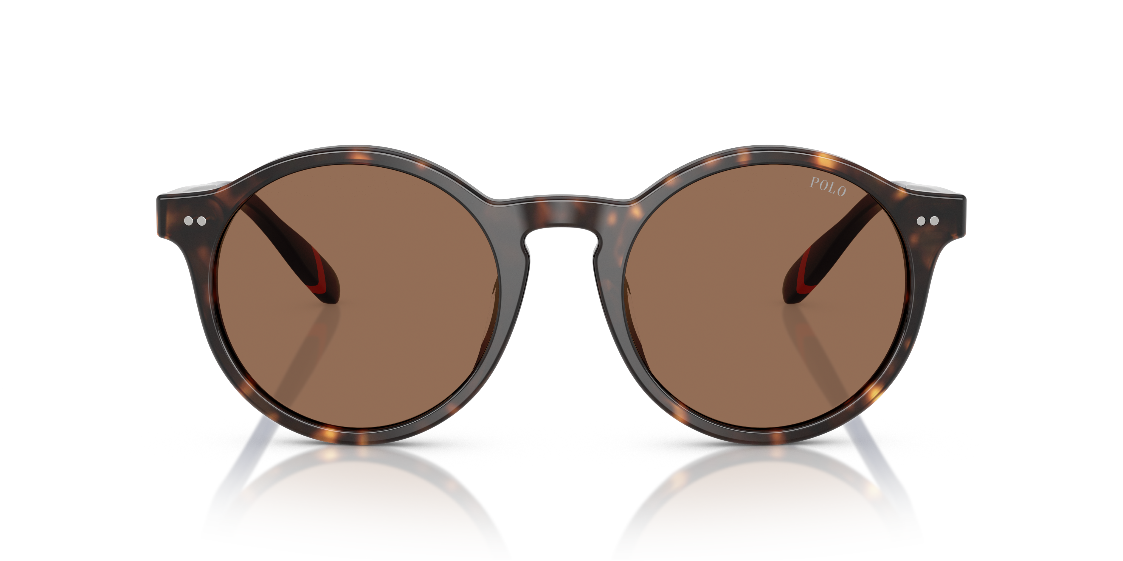 Gafas de Sol Polo Ralph Lauren PH4204U 567373 50 21