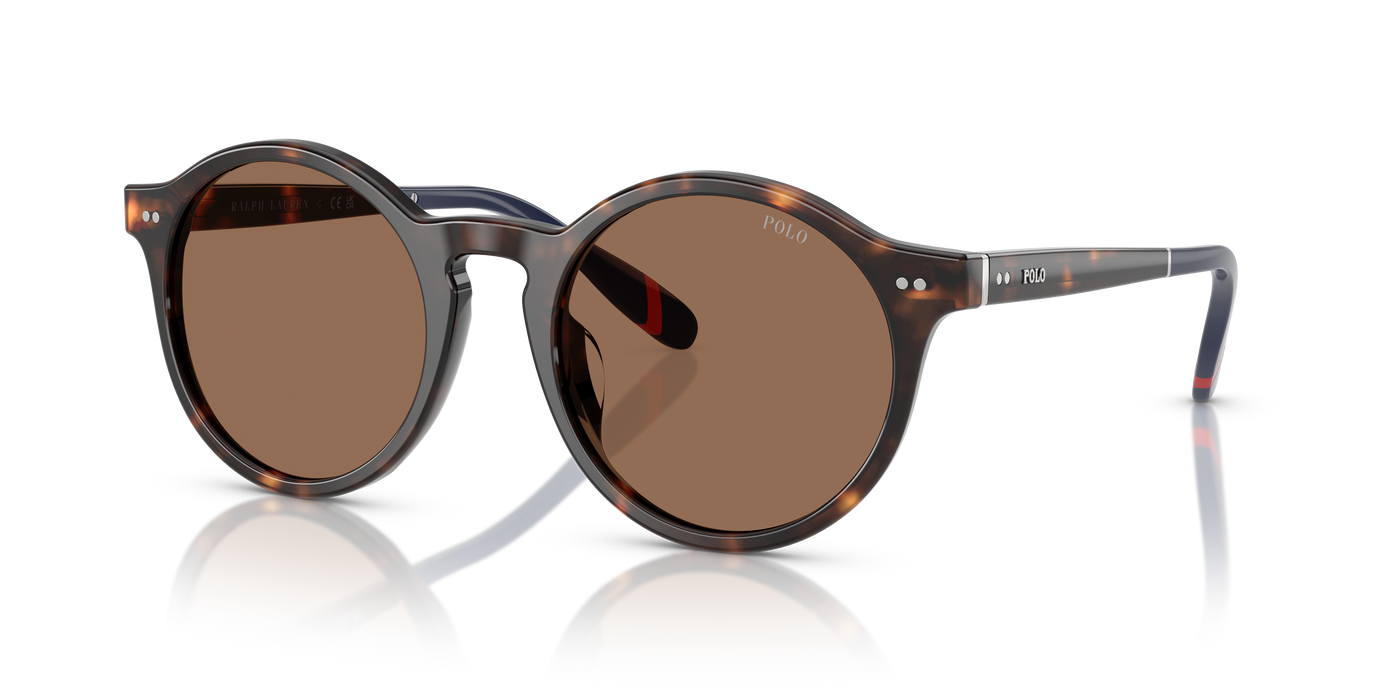 Gafas de Sol Polo Ralph Lauren PH4204U 567373 53 21