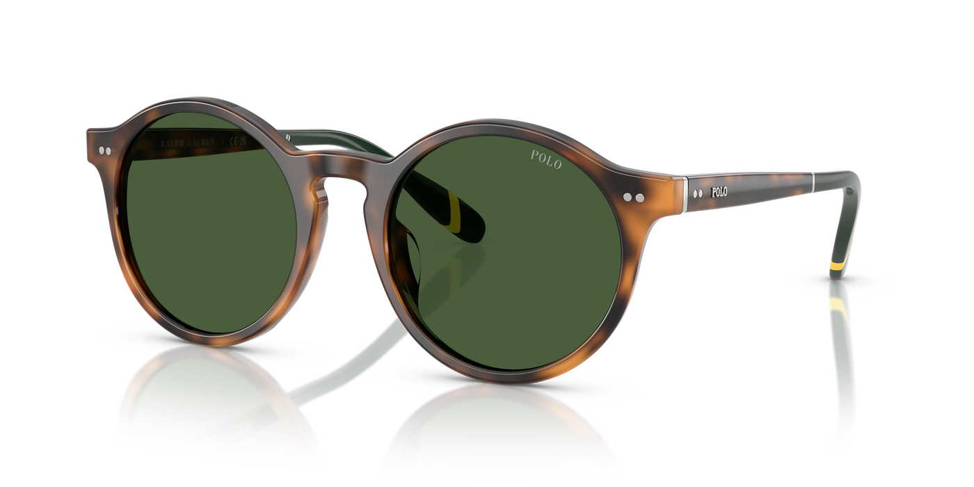 Gafas de Sol Polo Ralph Lauren PH4204U 608971 50 21