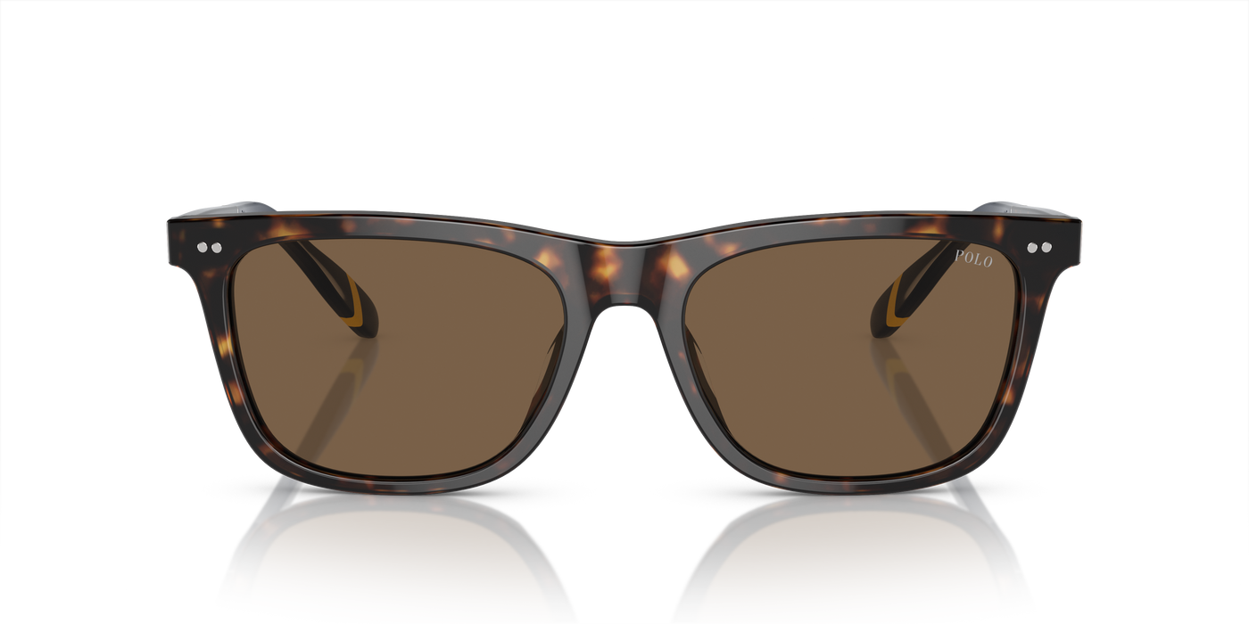 Gafas de Sol Polo Ralph Lauren PH4205U 500373 56 18