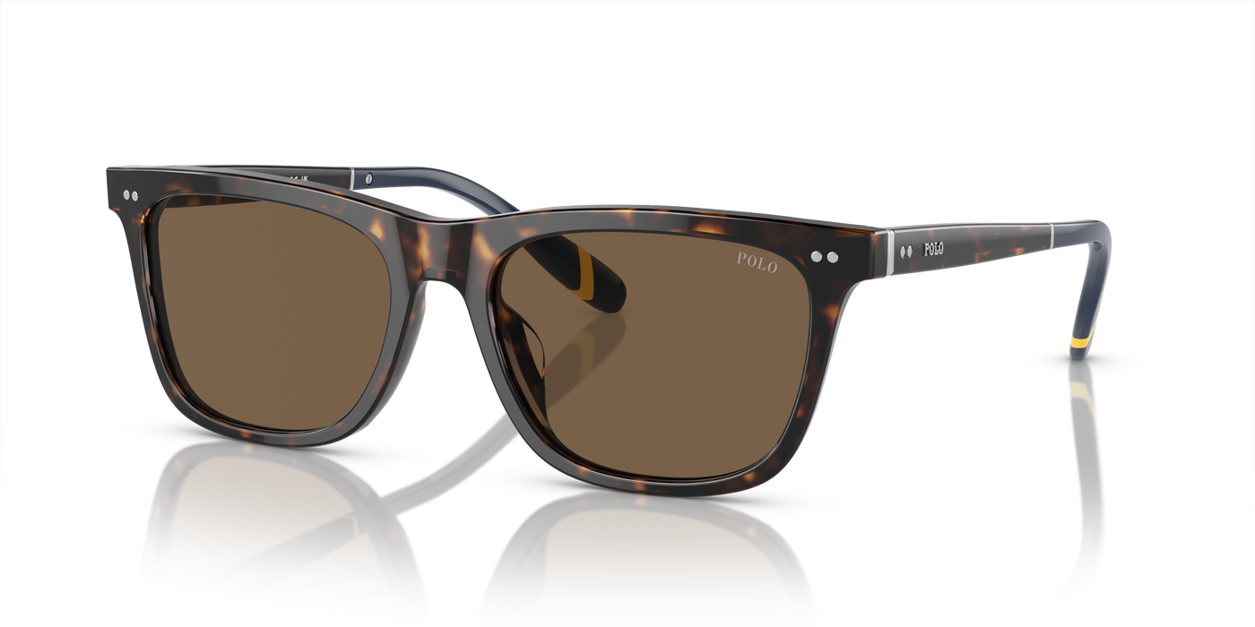 Gafas de Sol Polo Ralph Lauren PH4205U 500373 56 18