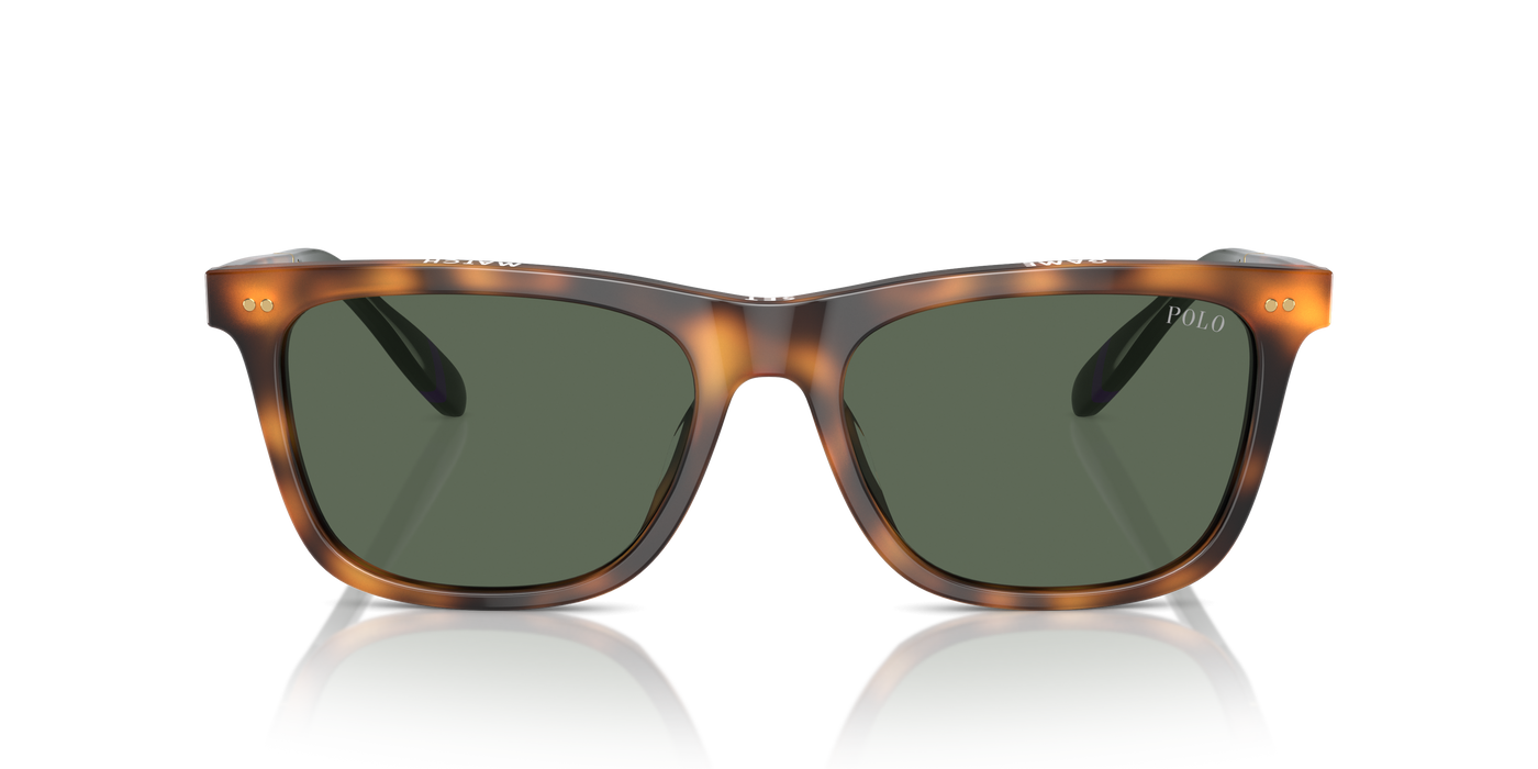 Gafas de Sol Polo Ralph Lauren PH4205U 608971 56 18