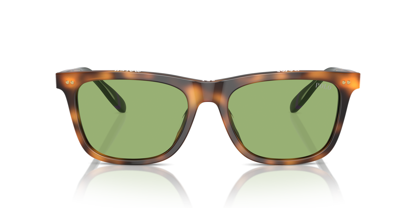 Gafas de Sol Polo Ralph Lauren PH4205U 6089/2 56 18