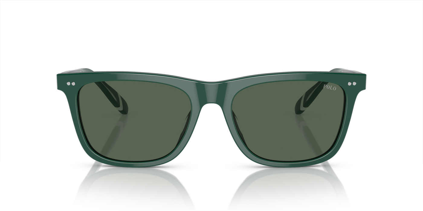 Gafas de Sol Polo Ralph Lauren PH4205U 614171 56 18
