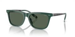 Gafas de Sol Polo Ralph Lauren PH4205U 614171 56 18