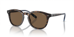 Gafas de Sol Polo Ralph Lauren PH4206 500373 52 20