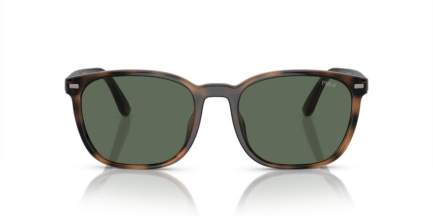 Gafas de Sol Polo Ralph Lauren PH4208U 597471 55 19
