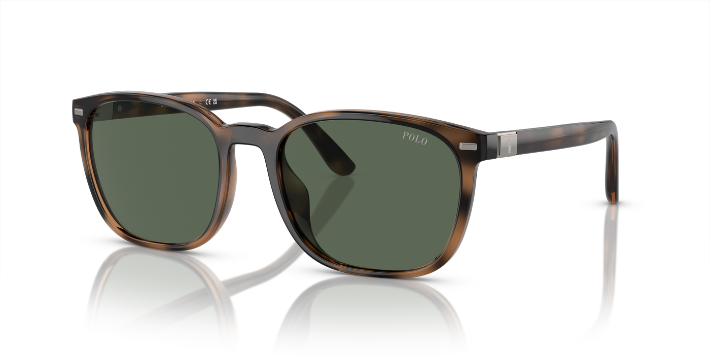 Gafas de Sol Polo Ralph Lauren PH4208U 597471 55 19