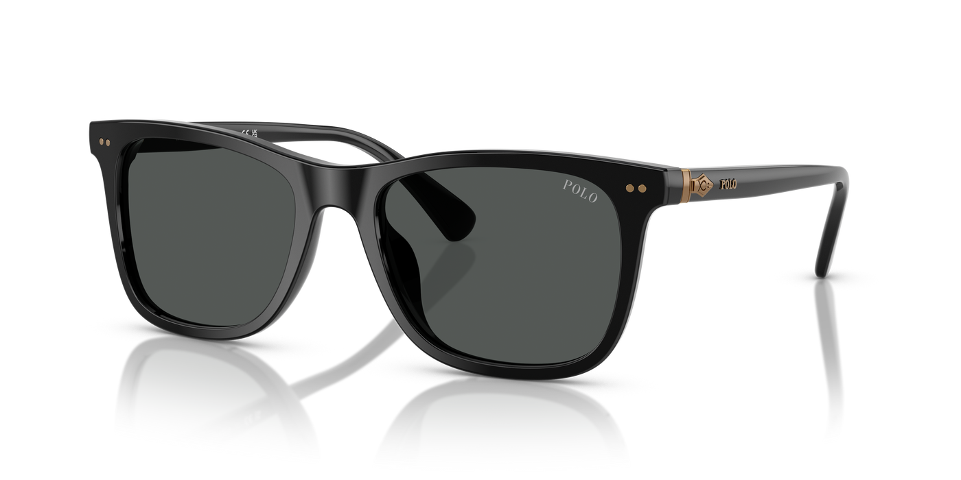 Gafas de Sol Polo Ralph Lauren PH4220U 500187 55 19