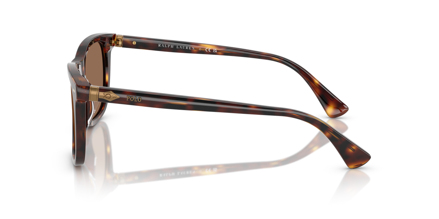 Gafas de Sol Polo Ralph Lauren PH4220U 613773 55 19