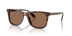 Gafas de Sol Polo Ralph Lauren PH4220U 613773 55 19