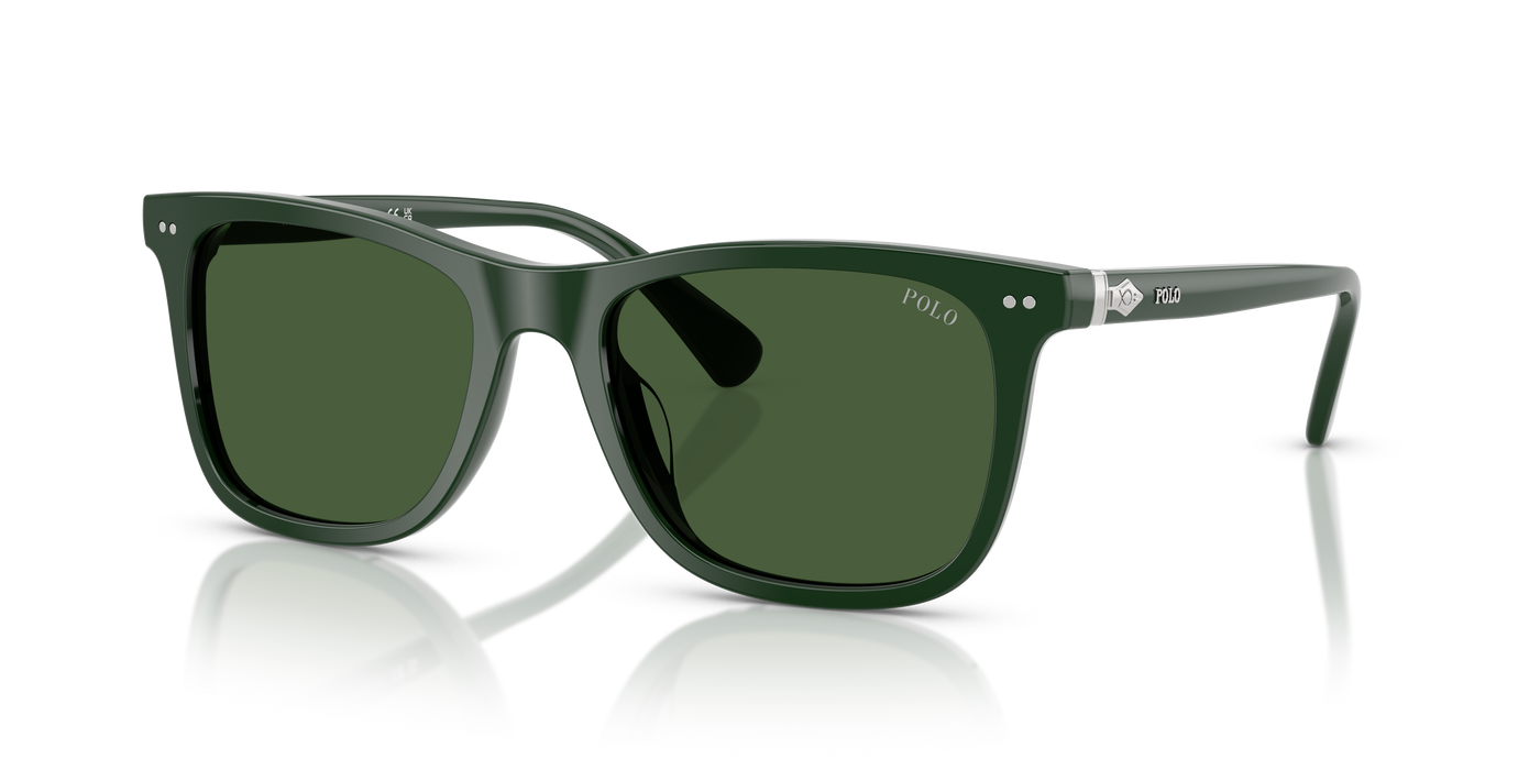 Gafas de Sol Polo Ralph Lauren PH4220U 614071 55 19