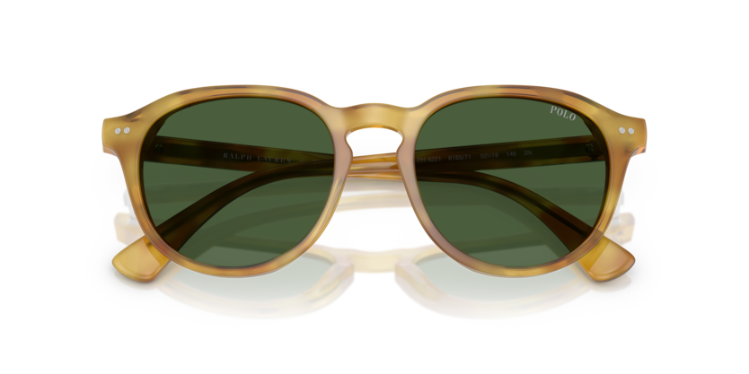 Gafas de Sol Polo Ralph Lauren PH4221 618571 52 19