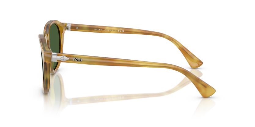 Gafas de Sol Polo Ralph Lauren PH4221 618571 52 19