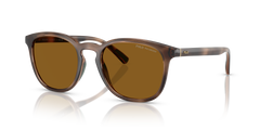 Gafas de Sol Polo Ralph Lauren PH4222U 500383 52 20